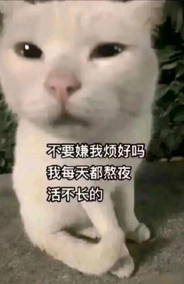 今日沙雕： 我向老師求婚，結(jié)果老師要見我家長，我是不是成功了宣傳圖52