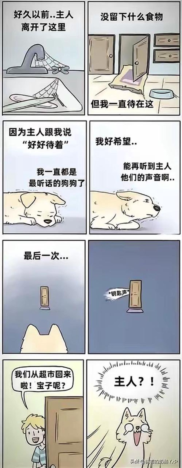 今日沙雕： 我向老師求婚，結(jié)果老師要見我家長，我是不是成功了宣傳圖73