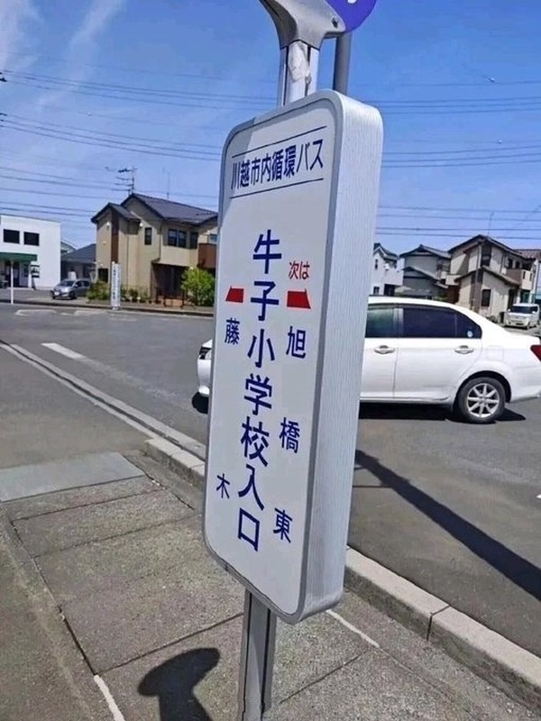 今日沙雕： 我向老師求婚，結(jié)果老師要見我家長，我是不是成功了宣傳圖96