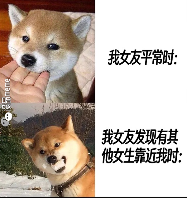 今日沙雕： 我向老師求婚，結(jié)果老師要見我家長，我是不是成功了宣傳圖97