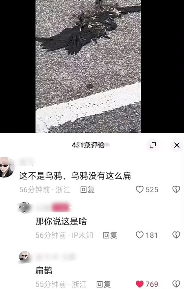 今日沙雕： 為什么電視劇和電影可以播殺人鏡頭，卻不能播造人鏡頭？宣傳圖8