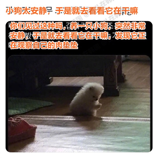 今日沙雕： 為什么電視劇和電影可以播殺人鏡頭，卻不能播造人鏡頭？宣傳圖23