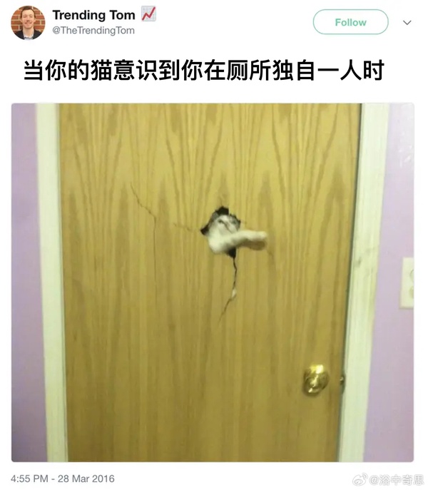 今日沙雕： 為什么電視劇和電影可以播殺人鏡頭，卻不能播造人鏡頭？宣傳圖46