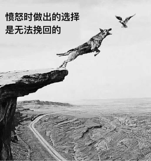 今日沙雕： 為什么電視劇和電影可以播殺人鏡頭，卻不能播造人鏡頭？宣傳圖66