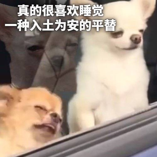 今日沙雕： 為什么電視劇和電影可以播殺人鏡頭，卻不能播造人鏡頭？宣傳圖76