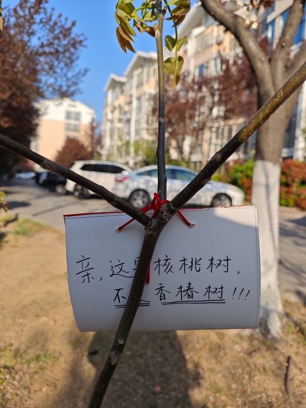 今日沙雕： 端午節(jié)這么好的日子，屈原卻要跳江敗興宣傳圖21