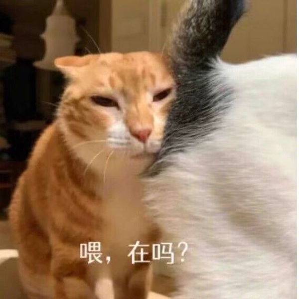 今日沙雕： 端午節(jié)這么好的日子，屈原卻要跳江敗興宣傳圖26