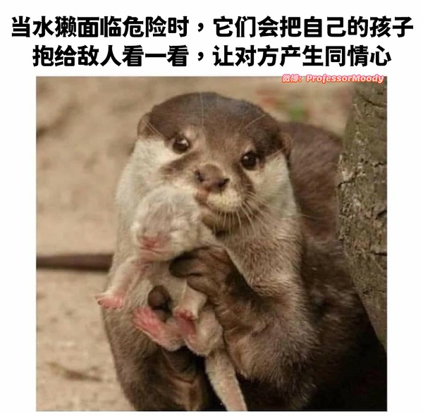今日沙雕：只要每天存2740塊錢，一年就能存100萬宣傳圖16
