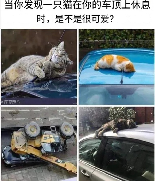 今日沙雕：只要每天存2740塊錢，一年就能存100萬宣傳圖25