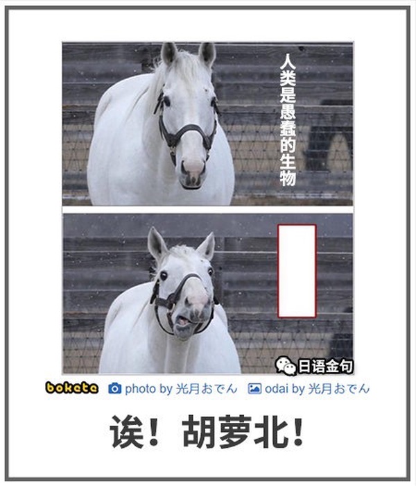 今日沙雕：只要每天存2740塊錢，一年就能存100萬宣傳圖26