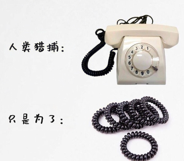 今日沙雕：只要每天存2740塊錢，一年就能存100萬宣傳圖106
