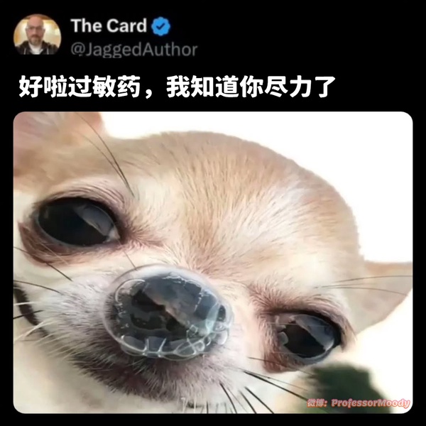 今日沙雕：吃飽后自殺可能會要了你的命！宣傳圖15