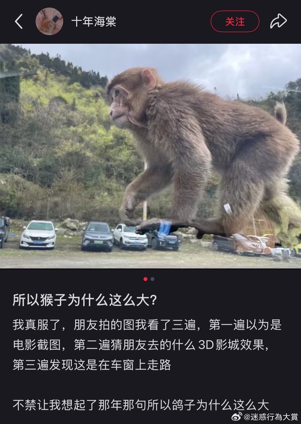 今日沙雕：吃飽后自殺可能會要了你的命！宣傳圖24
