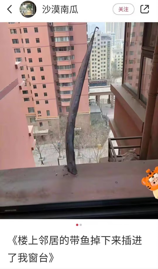 今日沙雕：吃飽后自殺可能會要了你的命！宣傳圖28