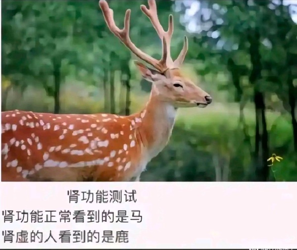 今日沙雕：吃飽后自殺可能會要了你的命！宣傳圖69