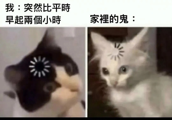 今日沙雕：吃飽后自殺可能會要了你的命！宣傳圖84