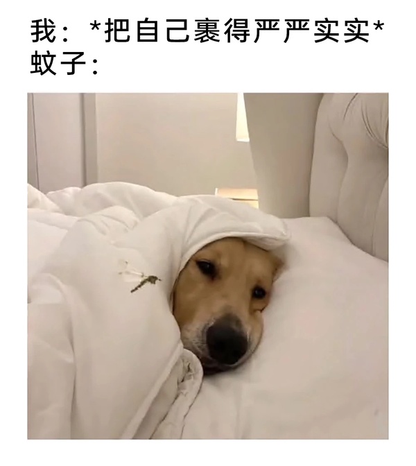 今日沙雕：吃飽后自殺可能會要了你的命！宣傳圖87