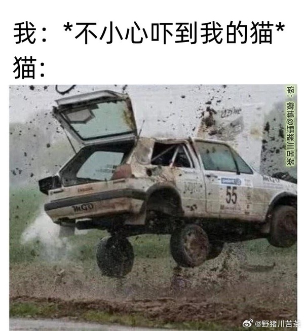 今日沙雕：吃飽后自殺可能會要了你的命！宣傳圖92
