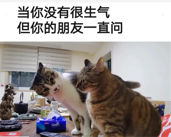 今日沙雕：大俠劫富濟貧以后，貧的變富了怎么辦宣傳圖75