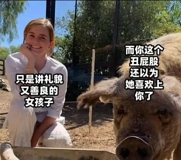 今日沙雕：大俠劫富濟貧以后，貧的變富了怎么辦宣傳圖76