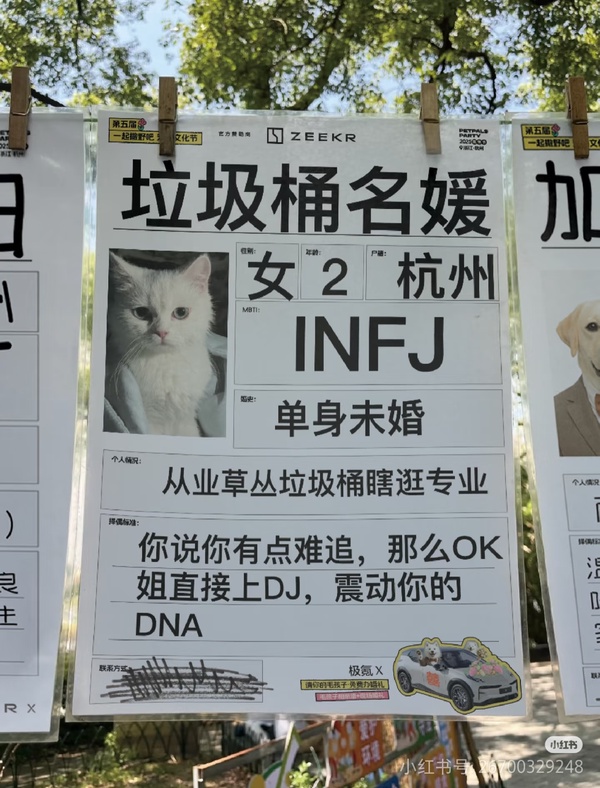 今日沙雕：大俠劫富濟貧以后，貧的變富了怎么辦宣傳圖83