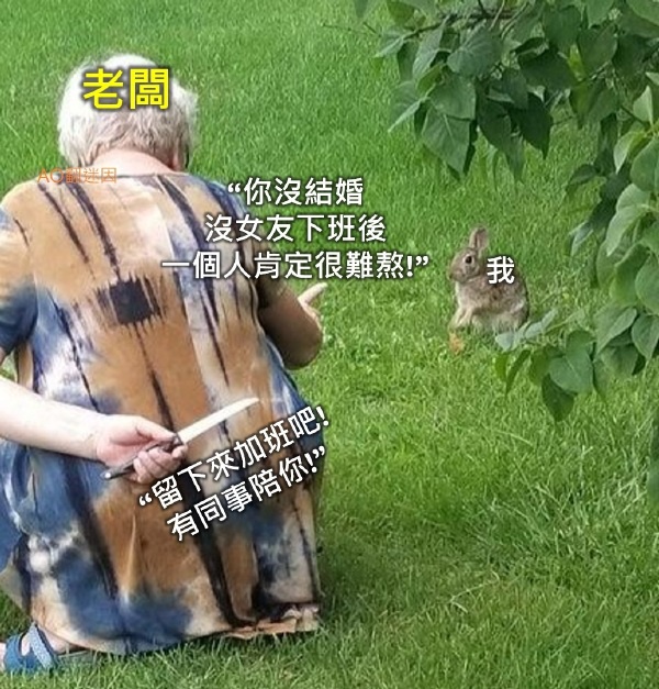 今日沙雕：男法官判女被告有罪，算不算違背婦女意愿？宣傳圖7