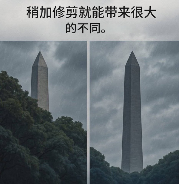 今日沙雕：男法官判女被告有罪，算不算違背婦女意愿？宣傳圖50