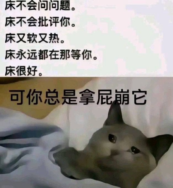 今日沙雕：男法官判女被告有罪，算不算違背婦女意愿？宣傳圖65