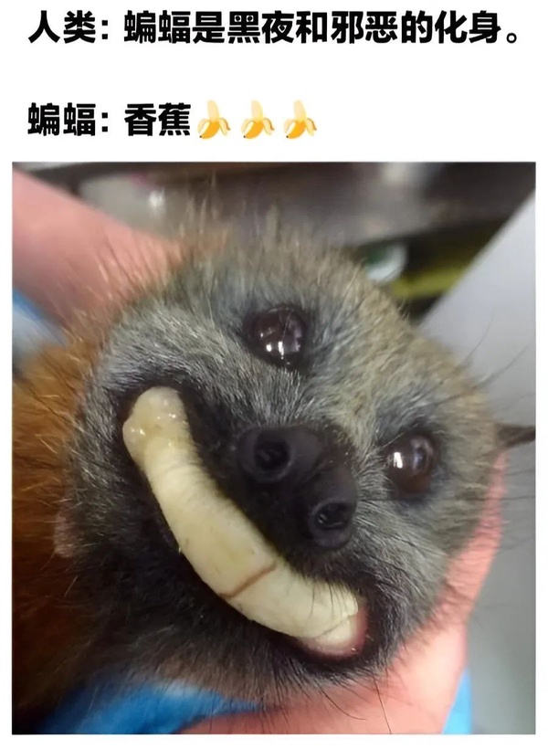 今日沙雕：水能導(dǎo)電，為什么不直接用長江輸電宣傳圖27