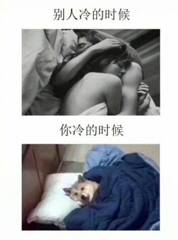 今日沙雕：水能導(dǎo)電，為什么不直接用長江輸電宣傳圖49
