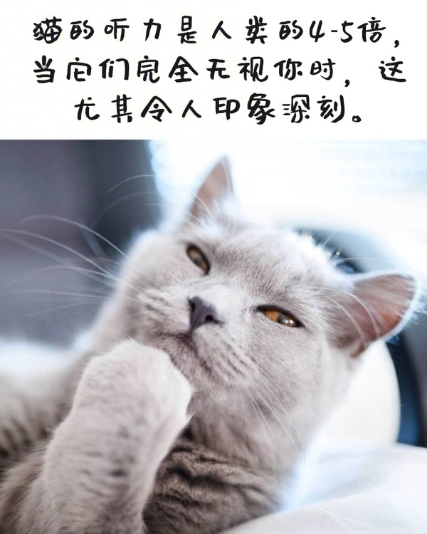 今日沙雕：水能導(dǎo)電，為什么不直接用長江輸電宣傳圖79