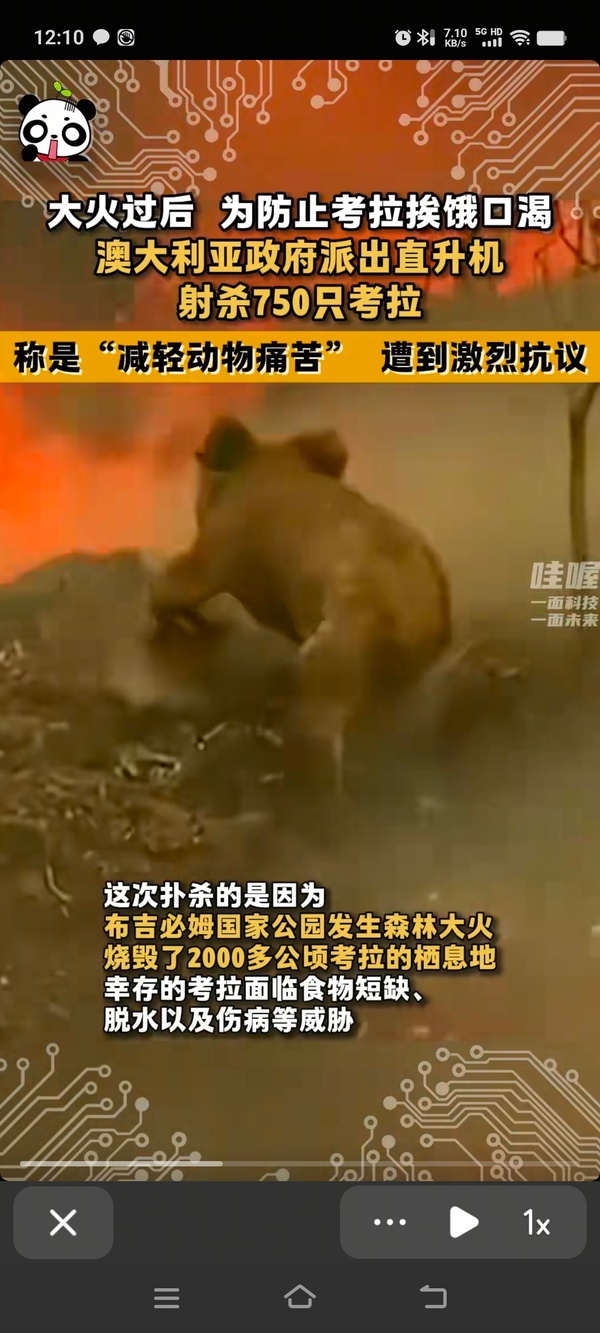 今日沙雕：學(xué)校翻墻出去是扣分，那我翻進(jìn)來是不是得加分？宣傳圖4