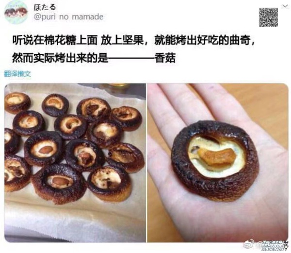 今日沙雕：學(xué)校翻墻出去是扣分，那我翻進(jìn)來是不是得加分？宣傳圖19