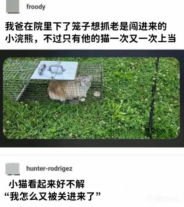 今日沙雕：學(xué)校翻墻出去是扣分，那我翻進(jìn)來是不是得加分？宣傳圖64