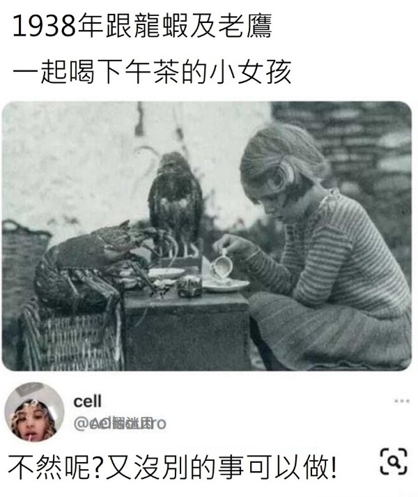 今日沙雕：金針菇早在500年前就滅絕了宣傳圖14