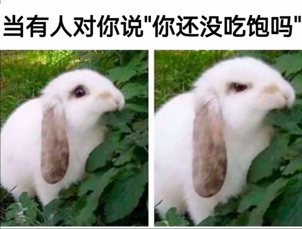 今日沙雕：為什么截肢只見(jiàn)過(guò)截下半身的？宣傳圖21
