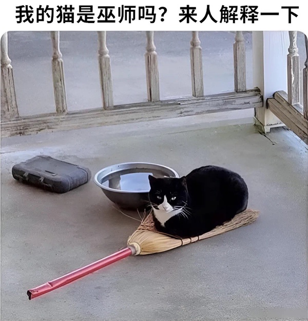 今日沙雕：為什么截肢只見(jiàn)過(guò)截下半身的？宣傳圖30