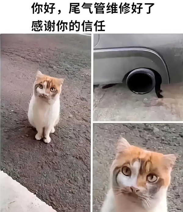 今日沙雕：為什么截肢只見(jiàn)過(guò)截下半身的？宣傳圖40