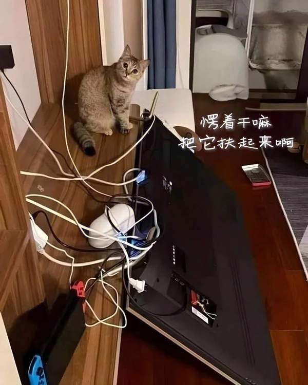 今日沙雕：為什么截肢只見(jiàn)過(guò)截下半身的？宣傳圖41