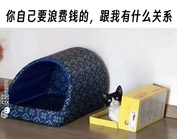 今日沙雕：為什么截肢只見(jiàn)過(guò)截下半身的？宣傳圖52
