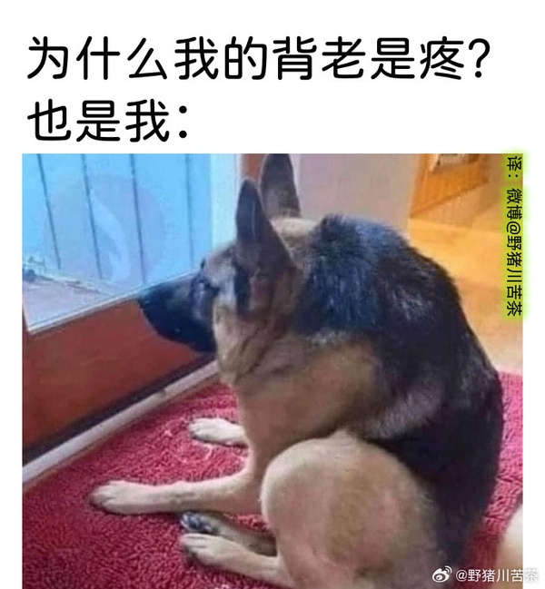 今日沙雕：冥鈔店失火是不是鬼在搶銀行宣傳圖73