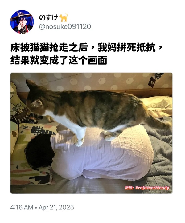 今日沙雕： 小偷將自己的作案過程寫成小說算正版還是盜版宣傳圖12