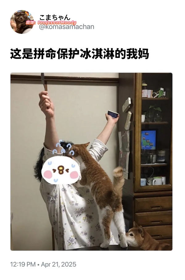 今日沙雕： 小偷將自己的作案過程寫成小說算正版還是盜版宣傳圖13