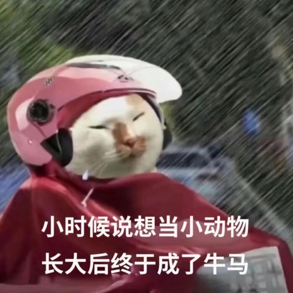 今日沙雕： 小偷將自己的作案過程寫成小說算正版還是盜版宣傳圖58