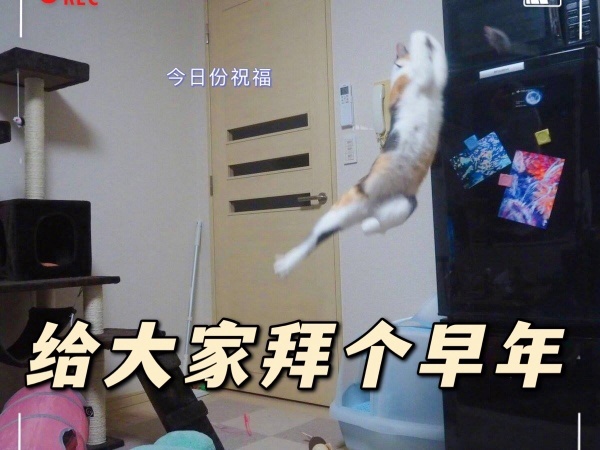 今日沙雕： 小偷將自己的作案過程寫成小說算正版還是盜版宣傳圖67