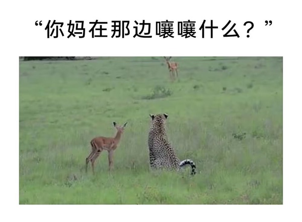 今日沙雕： 小偷將自己的作案過程寫成小說算正版還是盜版宣傳圖76