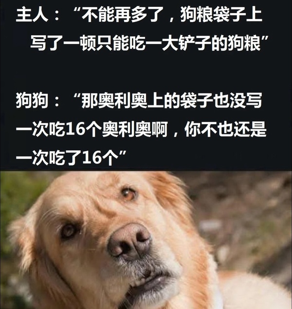今日沙雕： 小偷將自己的作案過程寫成小說算正版還是盜版宣傳圖112