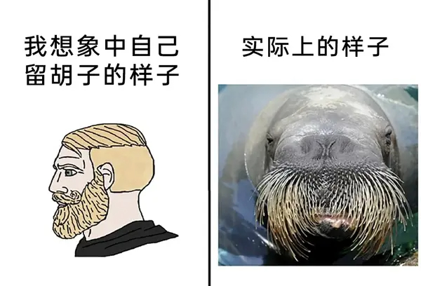 今日沙雕： 你每吃一個(gè)鴨腿，世界上就會(huì)多一只殘疾的鴨子宣傳圖7