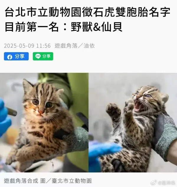 今日沙雕： 你每吃一個(gè)鴨腿，世界上就會(huì)多一只殘疾的鴨子宣傳圖12