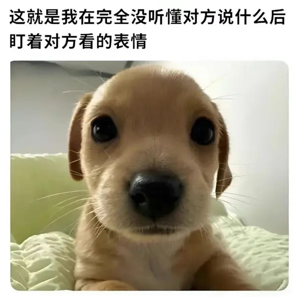 今日沙雕： 你每吃一個(gè)鴨腿，世界上就會(huì)多一只殘疾的鴨子宣傳圖22
